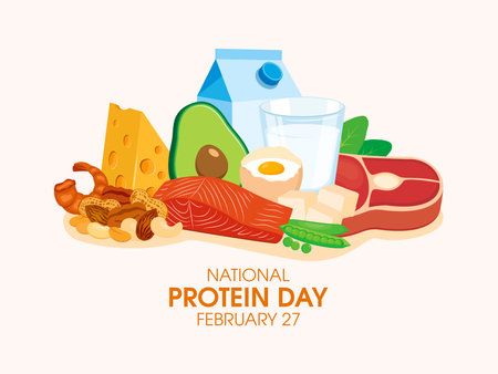 National Protein Day vector. Meat, milk, cheese, nuts and other proteins still life vector. Pile of fresh healthy foods graphic design element. February 27. Important dayのイラスト素材
