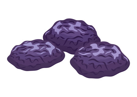 Dried plums icon set vector. Prune plum icon vector isolated on white background. Pile of dried prunes drawingのイラスト素材