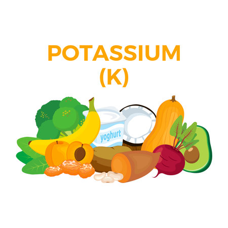 Potassium (K) in food icon vector. Potassium food sources illustration on a white background....