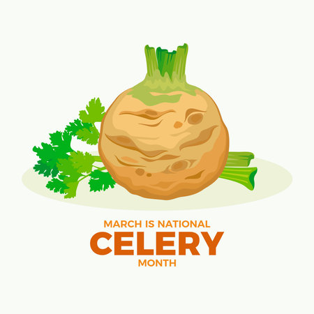 March is National Celery Month poster vector illustration. Celery root and stem vector illustration. Fresh celery bulb and stalk icon set. Root vegetable drawingのイラスト素材