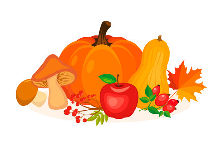 Autumn harvest pumpkin, mushroom, apple, rowanberry, rose hip vector illustration. Fall produce fruit, vegetable, crop icon set on a white background. Fall harvest still lifeのイラスト素材