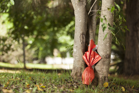 Brazilian Easters egg , wrapped in red paper under a tree.の写真素材