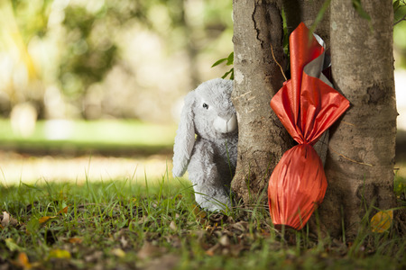 Brazilian Easters egg , wrapped in red paper under a tree, with a bunny in the background.の写真素材