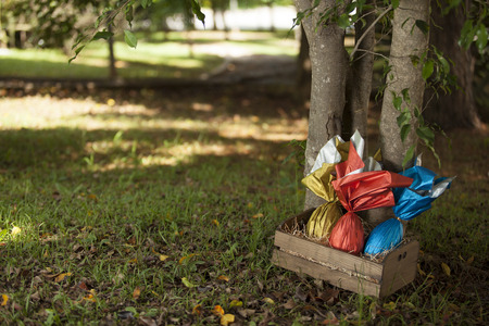 Basket of brazilian Easters eggs under a tree.の写真素材