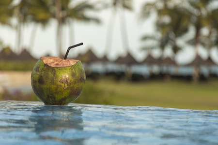 coconut on the edge of the tropical pool at sunset in a relaxing hotelの写真素材