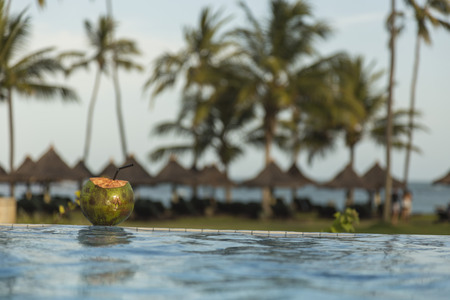 coconut on the edge of the tropical pool at sunset in a relaxing hotelの写真素材