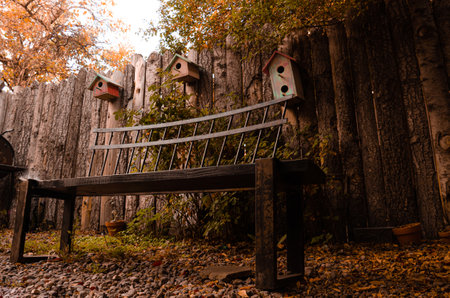 Wooden bench with birdhouses in autumn forest. Select focus.の写真素材