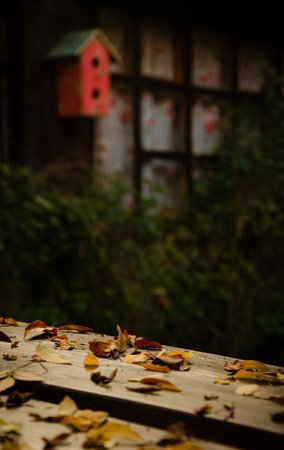 Fallen leaves on a wooden table with a bird house in the backgroundの写真素材