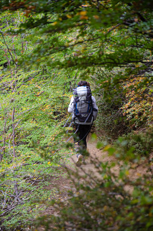 Hike in the mountains with a backpack and tent. Autumn.の写真素材