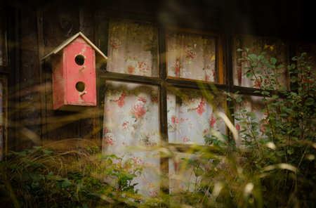 Abandoned wooden house with birdhouse in the middle of grassの写真素材