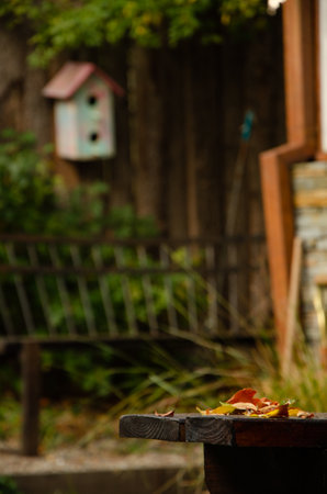 autumn leaves on the background of a wooden bench and a birdhouseの写真素材