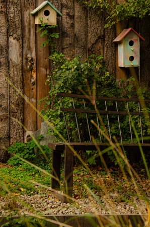 Wooden bench in the garden with birdhouse on the wall.の写真素材