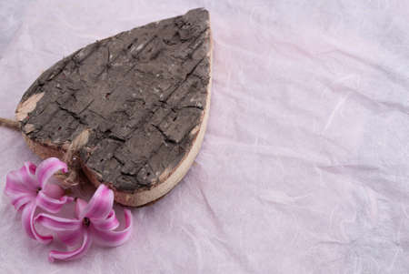 hearth wood an cyclamen flower on papaer backgroundの写真素材