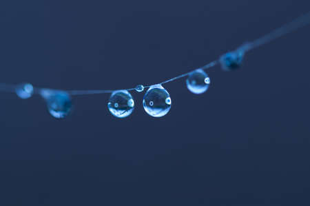 Dew drops on spiderweb on natural background