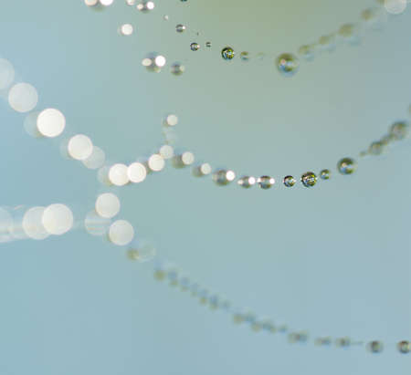 Dew drops on spiderweb on natural background