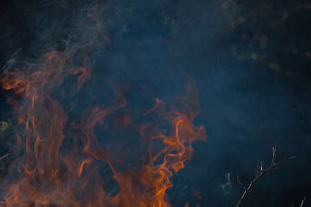 Fire flames background during the evening timeの写真素材