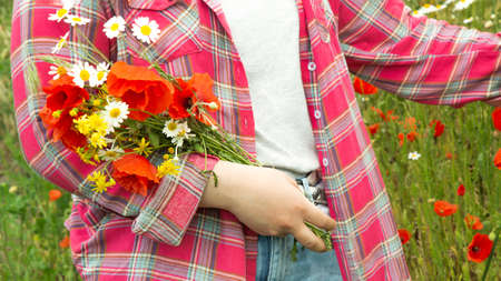 A girl in the field collects a bouquet of wild flowers. The girl stands against the background of wild flowers and holds poppies and daisies in her hands.の写真素材