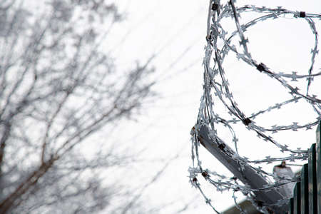 Fencing with barbed wire. Fence. Forbidden territory. Background.の写真素材