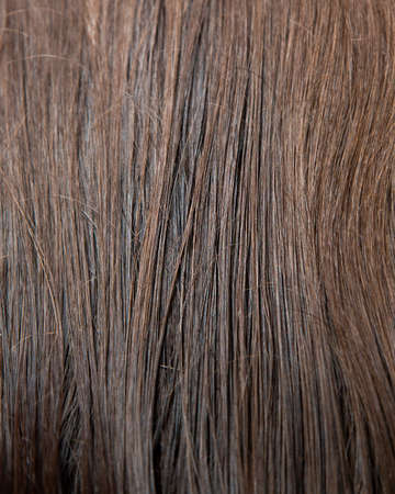 Background of the hairline.Texture of dark brown hair combed. Straight hair. Thick, healthy, natural hair. The hairline. Hair care.の写真素材