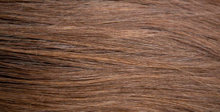 Background. The texture of dark brown hair. Straight hair, color: dark brown. Thick, healthy, natural hair. The hairline.の写真素材
