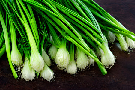 fresh green onions, farm produce, healthy food, green groceriesの写真素材