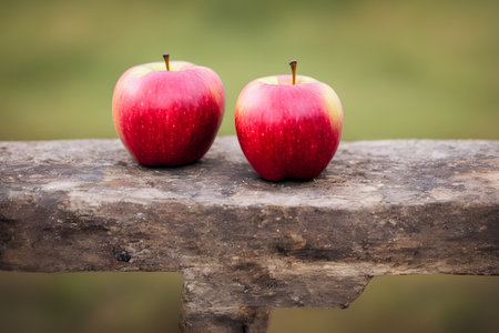 picture of apples, healthy food, sweet and sugaryの写真素材