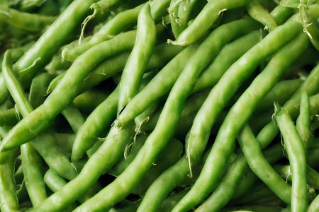 green beans, healthy vegetable food, freshly harvested, farm produceの写真素材