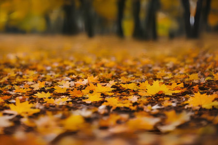 Illustration of the autumn maple leaves outdoors, generative aiの素材