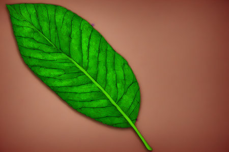 3d rendering illustration of green leaf, using generative aiの素材
