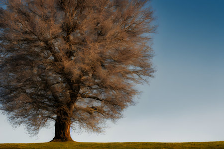 Realistic illustration of a tree on a hill or field, Generative AI.の素材