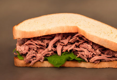 Realistic illustration of shredded meat sandwich, using Generative AI.の素材