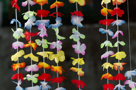 Colored curtain adorns with flowersの写真素材