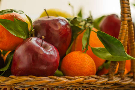 Apples, oranges and tangerines in seasonの写真素材