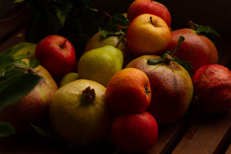 Collection of red and orange fruits in Autumnの写真素材