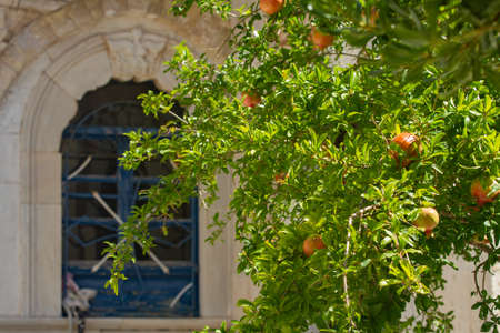 Window of the Orthodox church, Samos, Greeceの写真素材