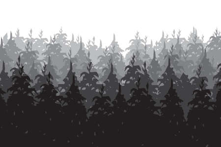 Background, pine forest, vector imageのイラスト素材