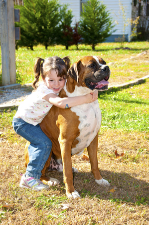 Small child playing with Boxer Bulldog.の写真素材
