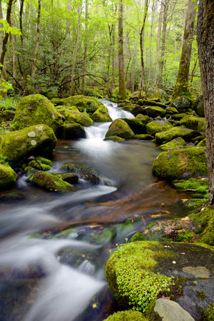 Spring white water stream in the Smokies.の写真素材