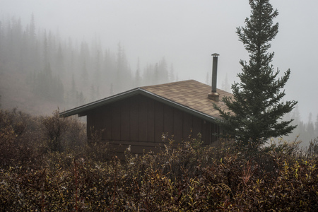 Little brown cabin amid fog and fall colors in Alaska.の写真素材