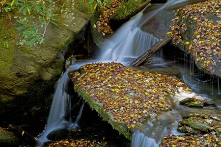 A small silky waterfall falls across flat rocks in a creek.の写真素材