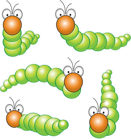 funny caterpillar in different positionsのイラスト素材