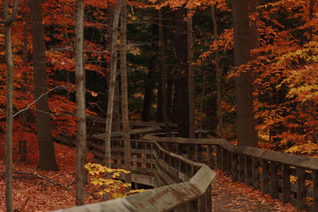 Fall sceneの写真素材