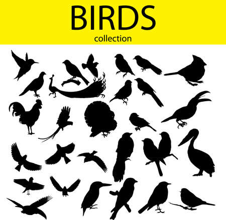 collection of silhouette of the birdsのイラスト素材