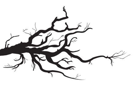 tree branchのイラスト素材