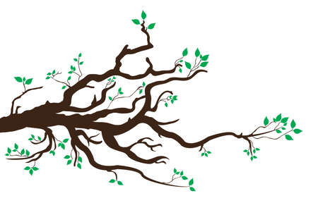 tree branchのイラスト素材