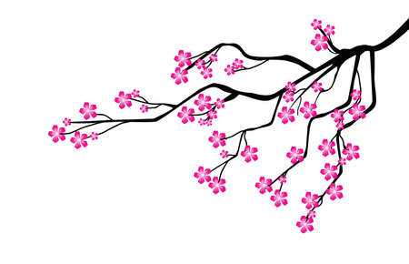 tree branchのイラスト素材