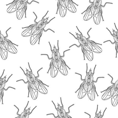 Fly insect seamless texture. Fly wallpaper, background. Doodle, sketch style. Modern design. Vector illustrationのイラスト素材