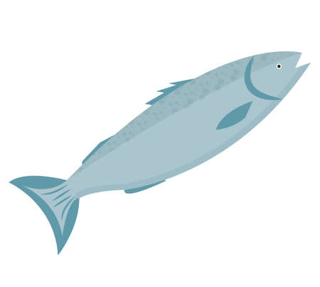 Trout icon flat style. Forel fish isolated on white background. Vector illustration, clip artのイラスト素材