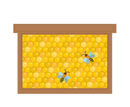Honeycomb in wooden frame icon, flat style. Isolated on white background.のイラスト素材