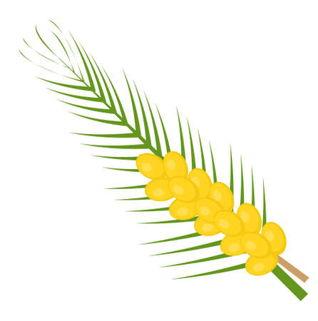 Fresh dates icon flat, cartoon style. Yellow fruit isolated on white background. Vector...